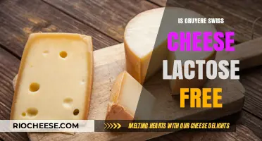 Exploring Dairy Delights: Is Gruyère Swiss Cheese Lactose-Free?