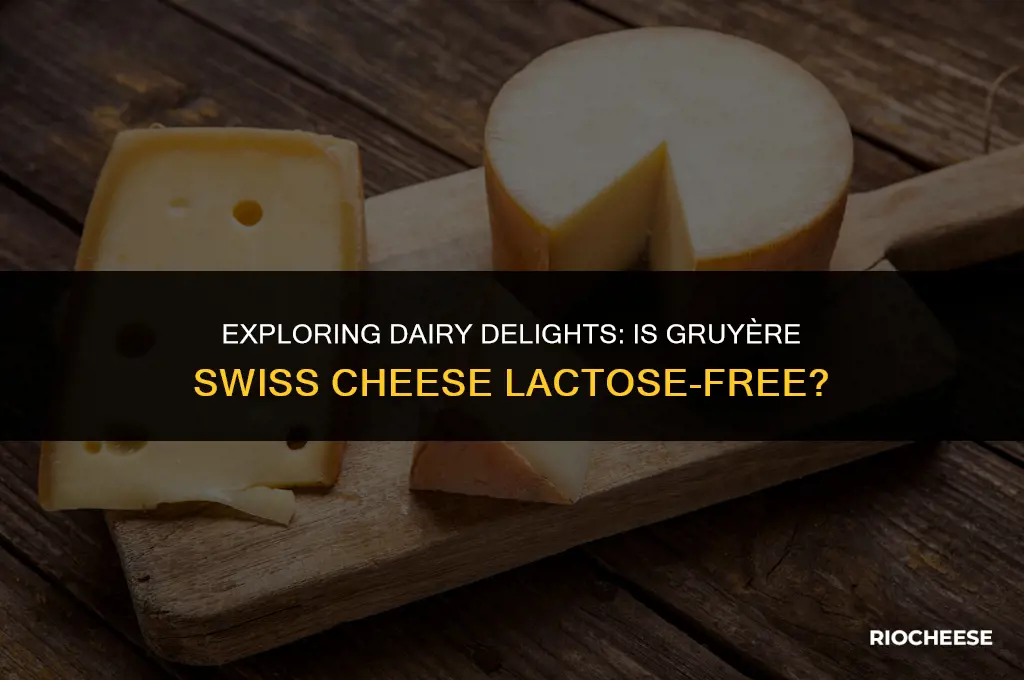 is gruyere swiss cheese lactose free