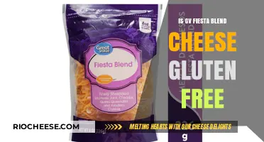 Exploring the Gluten-Free Status of GV Fiesta Blend Cheese
