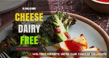 Exploring Halloumi: A Dairy Delight or Lactose-Free Alternative?