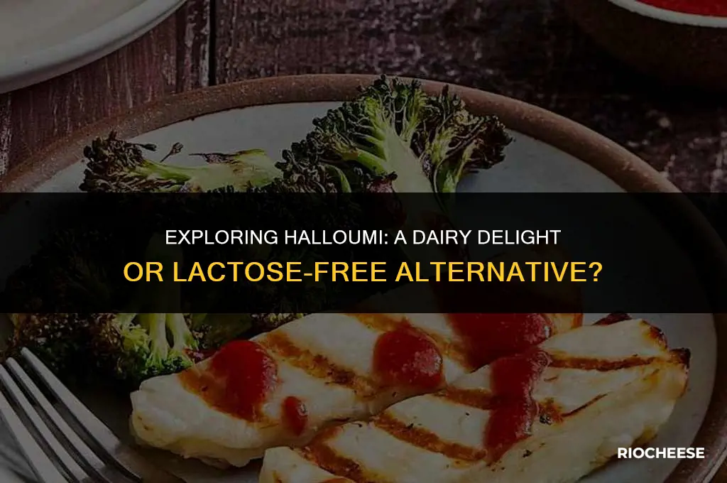 is halloumi cheese dairy free