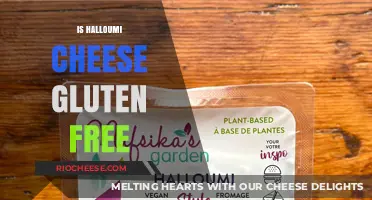 Exploring Halloumi: A Gluten-Free Cheese Option for Your Diet