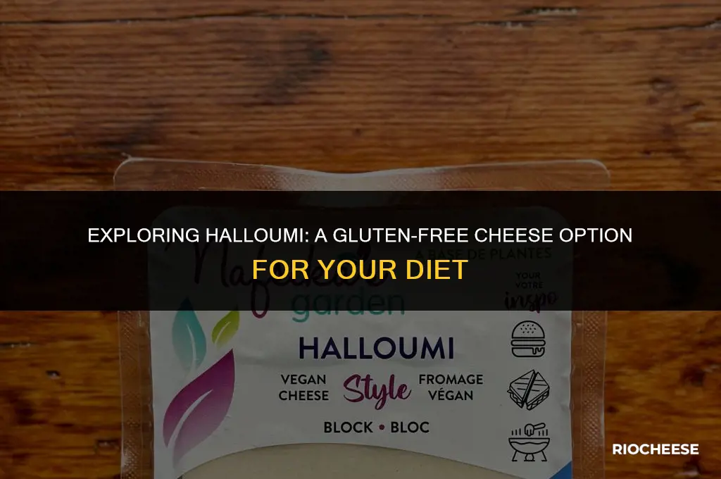 is halloumi cheese gluten free