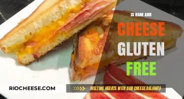 Delicious and Safe: Exploring Gluten-Free Ham and Cheese Options