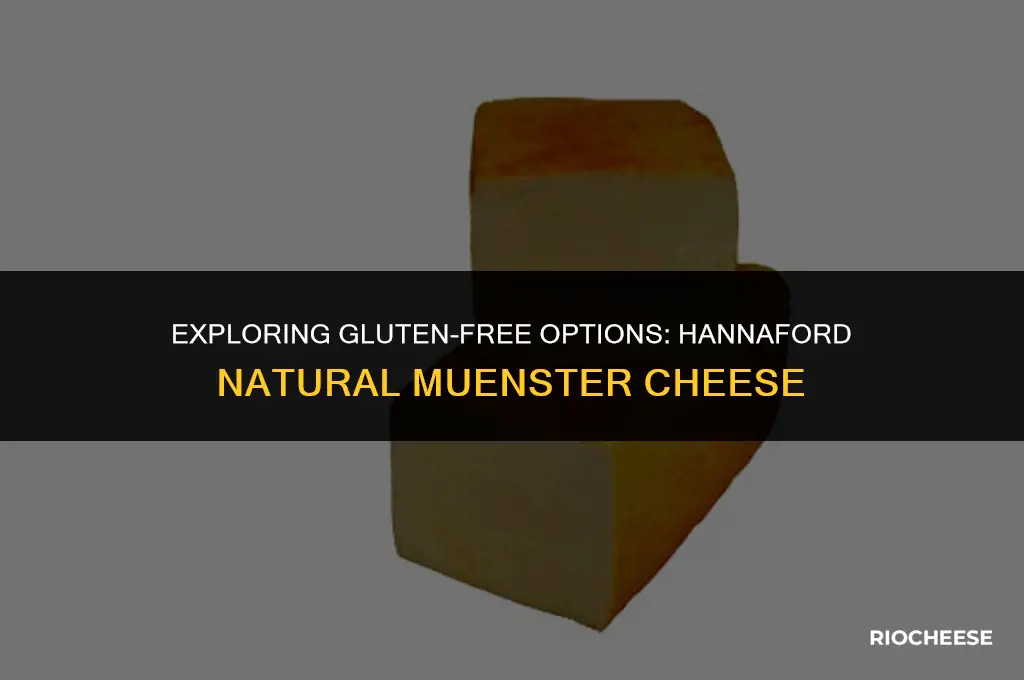 is hannaford natural muenster cheese gluten free