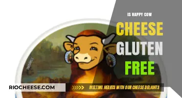 Exploring Happy Cow Cheese: A Gluten-Free Dairy Delight