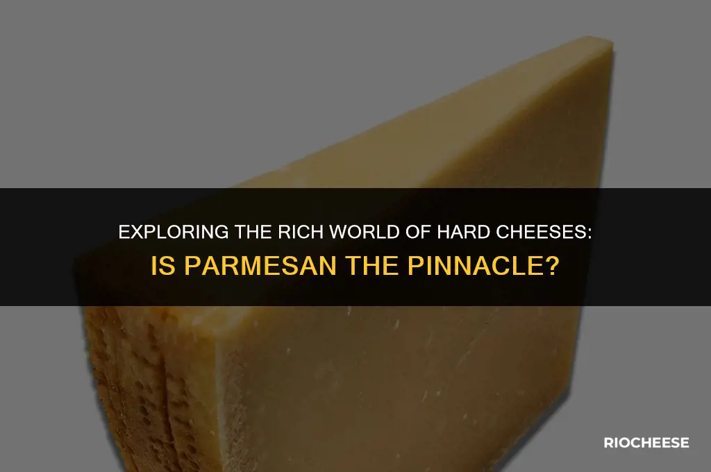 is hard cheese parmesan