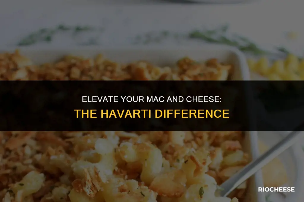 is havarti good in mac and cheese