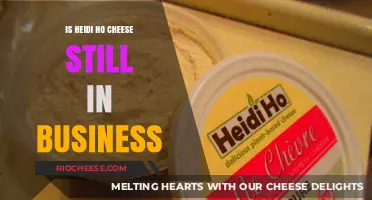 The Fate of Heidi Ho Cheese: Still in Business?