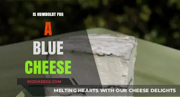 Unveiling the Mystery: Humboldt Fog vs. Blue Cheese