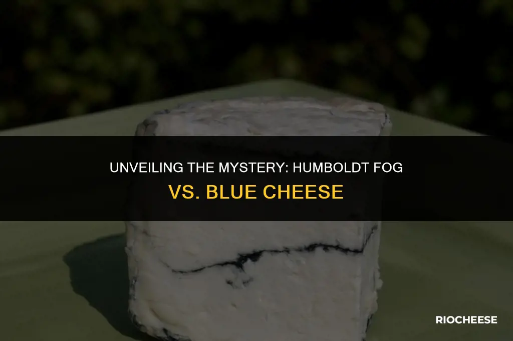 is humboldt fog a blue cheese