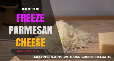 The Great Parmesan Freeze: A Culinary Debate Uncovered
