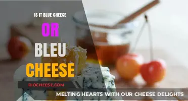 The Great Cheese Debate: Blue vs. Bleu - A Culinary Conundrum