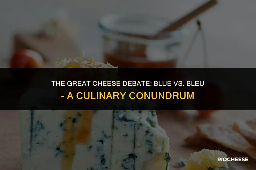 is it blue cheese or bleu cheese
