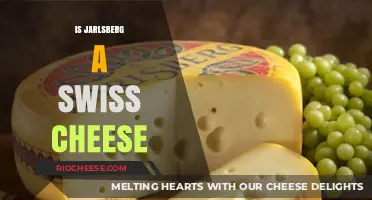 Exploring Jarlsberg: A Swiss Cheese or Not?