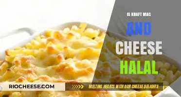 Exploring Halal Options: Is Kraft Mac and Cheese Compliant?