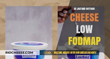 Exploring Low FODMAP Options: Lactaid Cottage Cheese