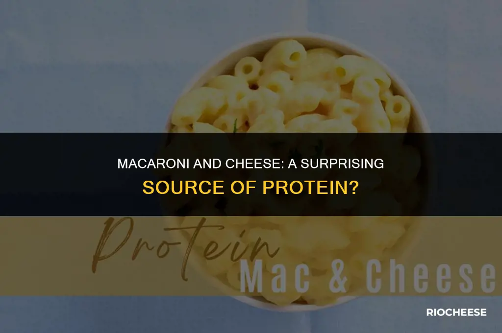 is macaroni and cheese a protein