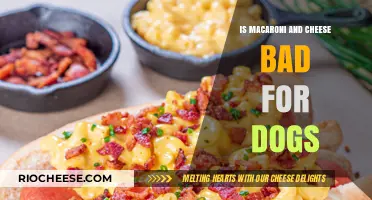 Can Dogs Eat Macaroni and Cheese? A Vet's Guide