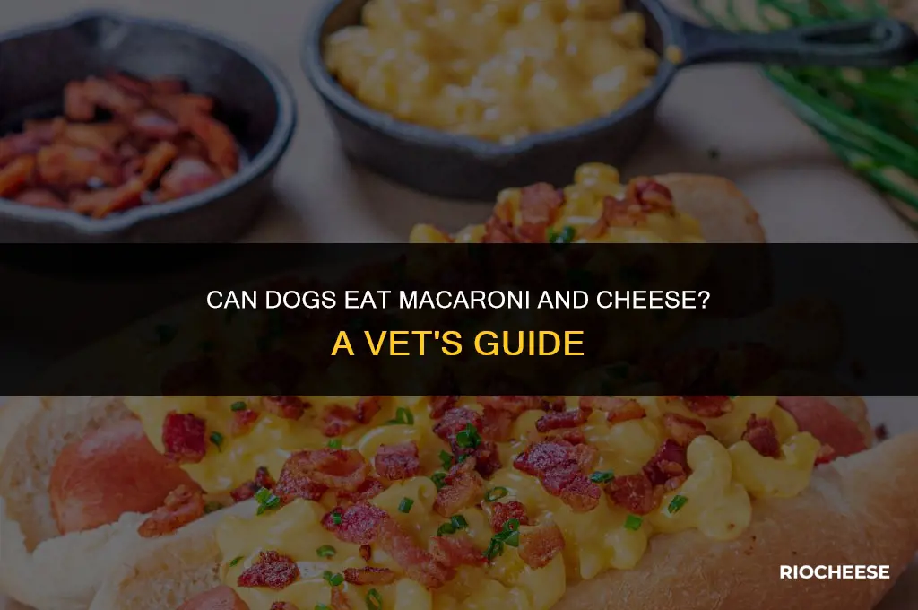is macaroni and cheese bad for dogs