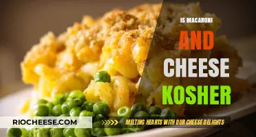 Exploring Kosher Cuisine: Macaroni and Cheese Edition