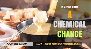 Unraveling the Science: Is Melting Cheese a Chemical Transformation?