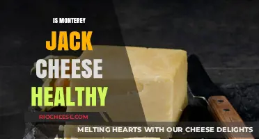 Exploring the Nutritional Benefits of Monterey Jack Cheese