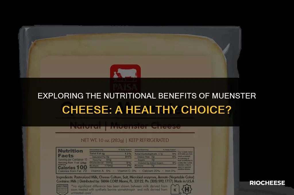 is muenster cheese healthy