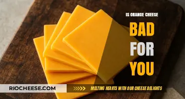 Unveiling the Truth: Is Orange Cheese a Healthy Choice?