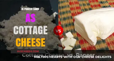 Paneer vs. Cottage Cheese: Unraveling the Dairy Mystery