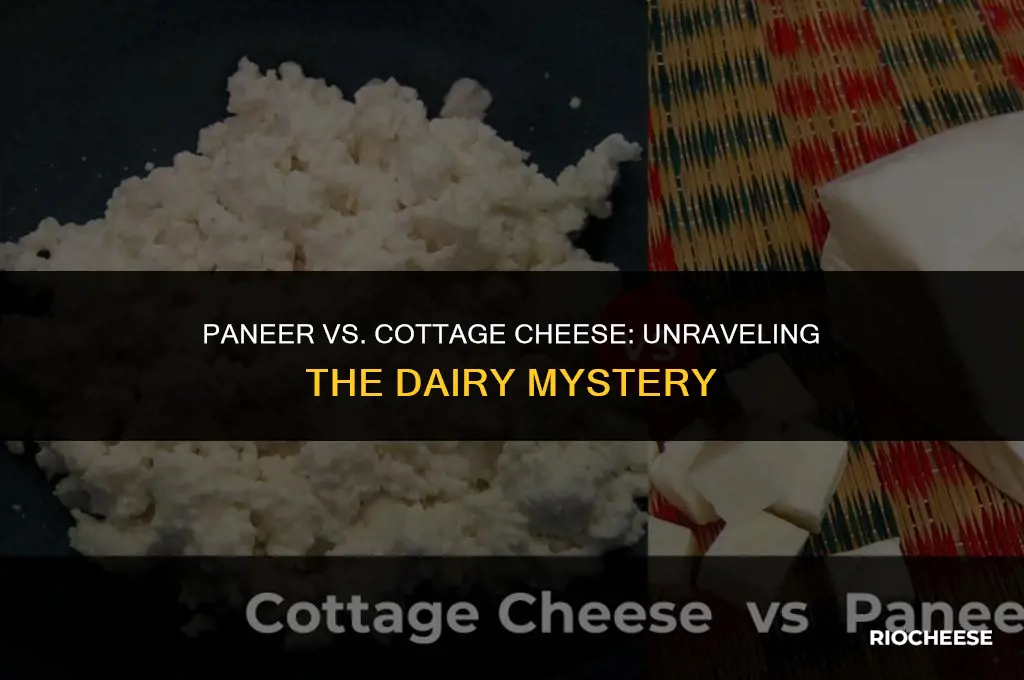is paneer same as cottage cheese
