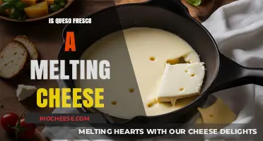 Exploring the Melting Qualities of Queso Fresco: A Culinary Journey