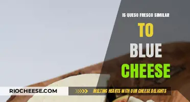 Exploring the Flavor Profile: Queso Fresco vs. Blue Cheese