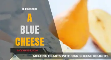 Exploring the Rich World of Blue Cheese: Is Roquefort a True Blue?