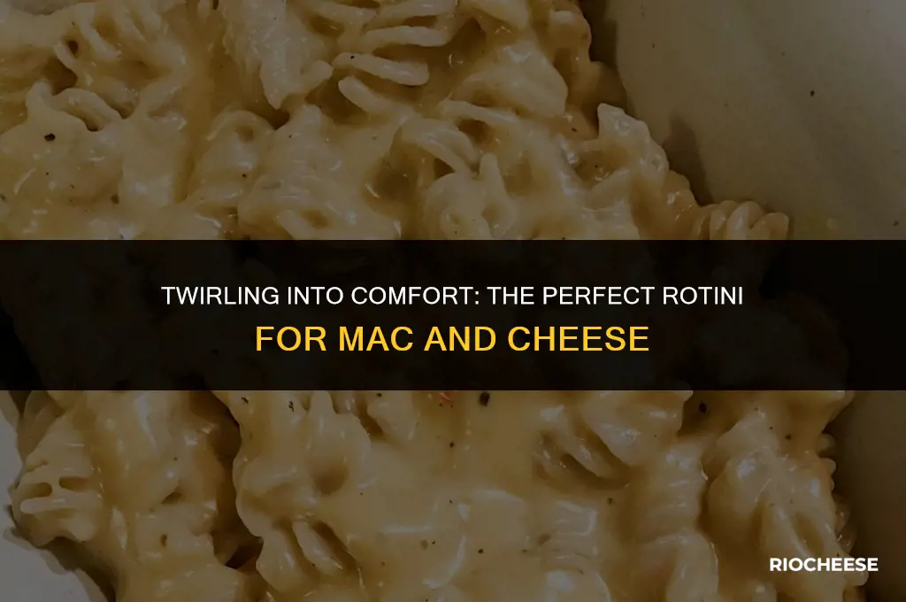 is rotini good for mac and cheese