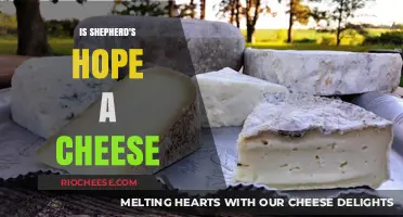Exploring the Myth: Is Shepherd's Hope Truly a Cheese?