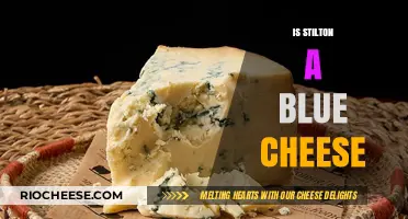 The Great Debate: Stilton's Place in the Blue Cheese Family