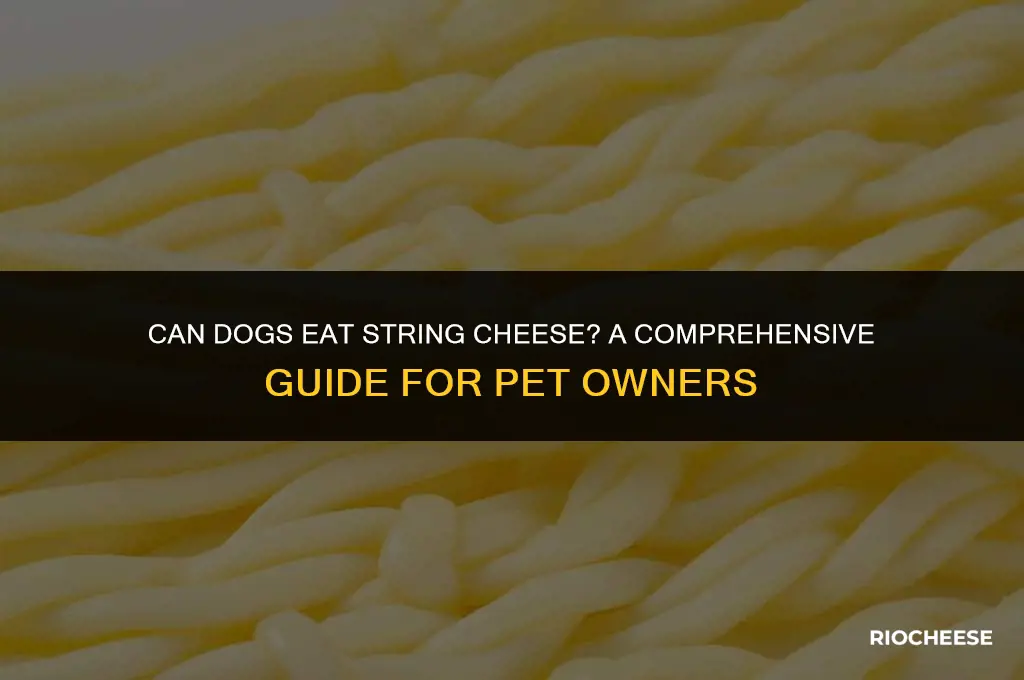 is string cheese bad for dogs