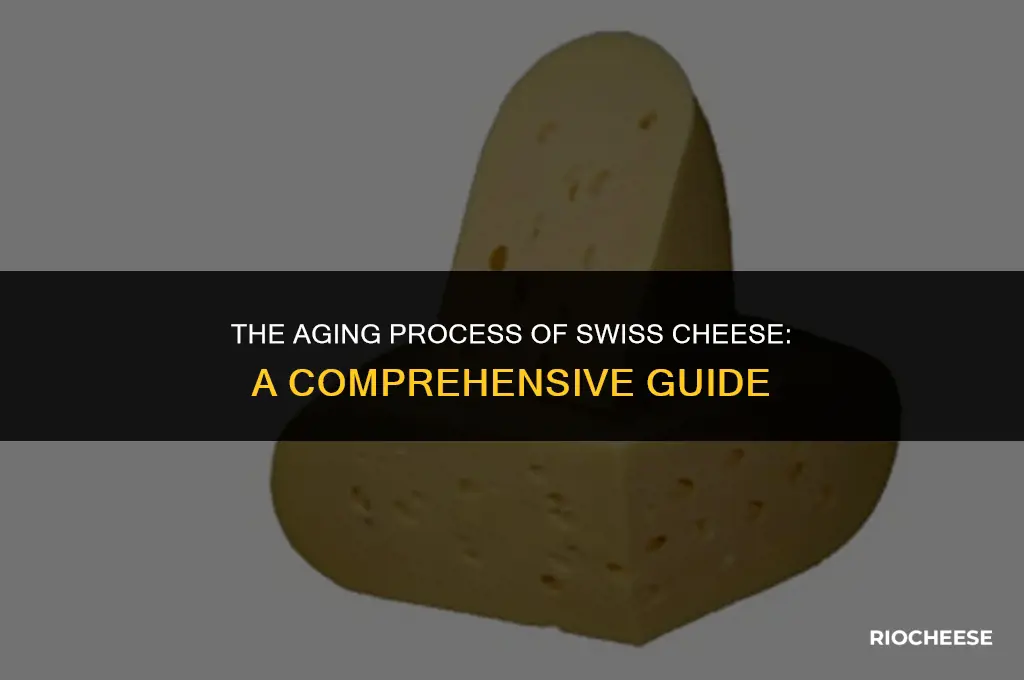 is swiss cheese aged