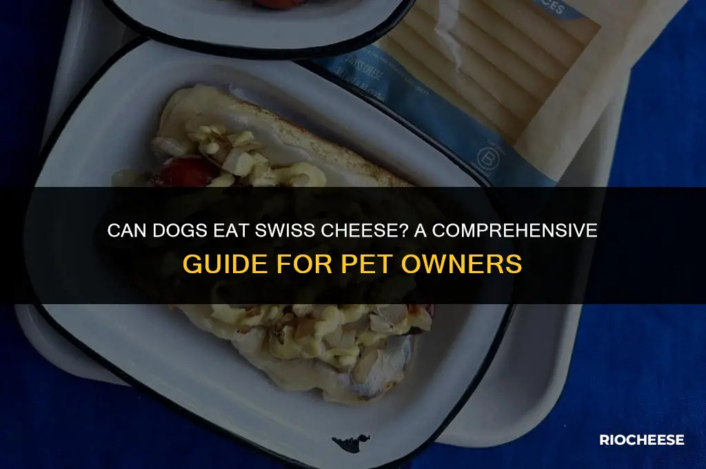 is swiss cheese bad for dogs