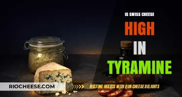 Exploring Tyramine Levels in Swiss Cheese: A Nutritional Insight