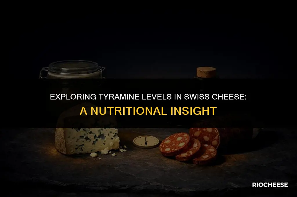 is swiss cheese high in tyramine