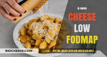 Exploring the FODMAP Content of Swiss Cheese: A Digestive Guide
