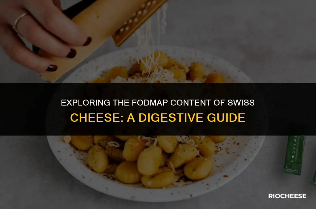 is swiss cheese low fodmap