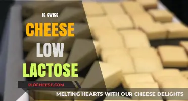 Delicious and Digestible: The Low-Lactose Swiss Cheese Advantage
