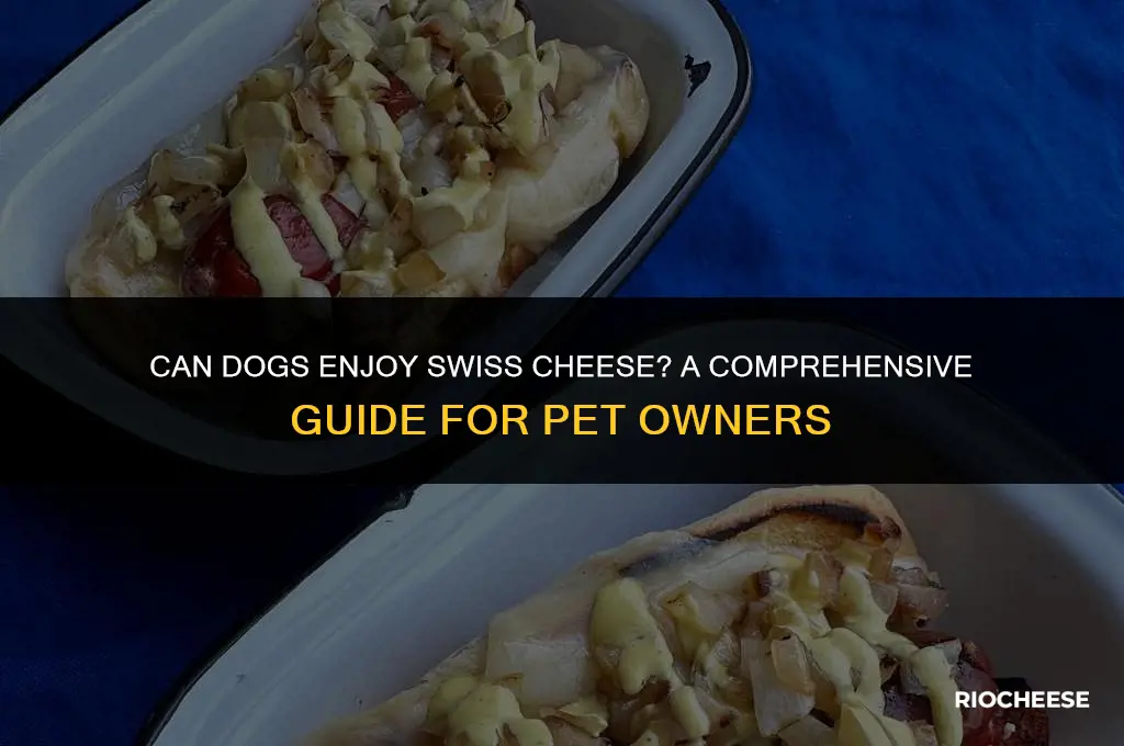 is swiss cheese ok for dogs