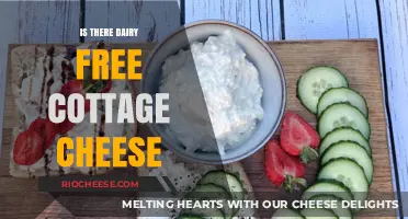 Exploring Dairy-Free Alternatives: The Quest for Cottage Cheese Substitutes