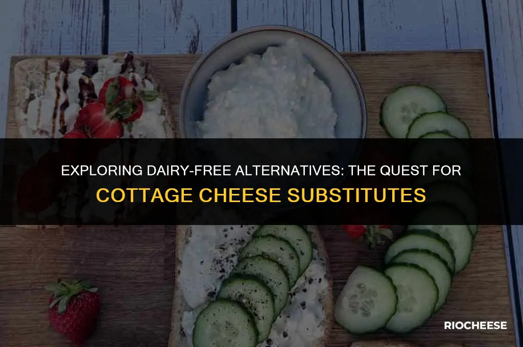 is there dairy free cottage cheese