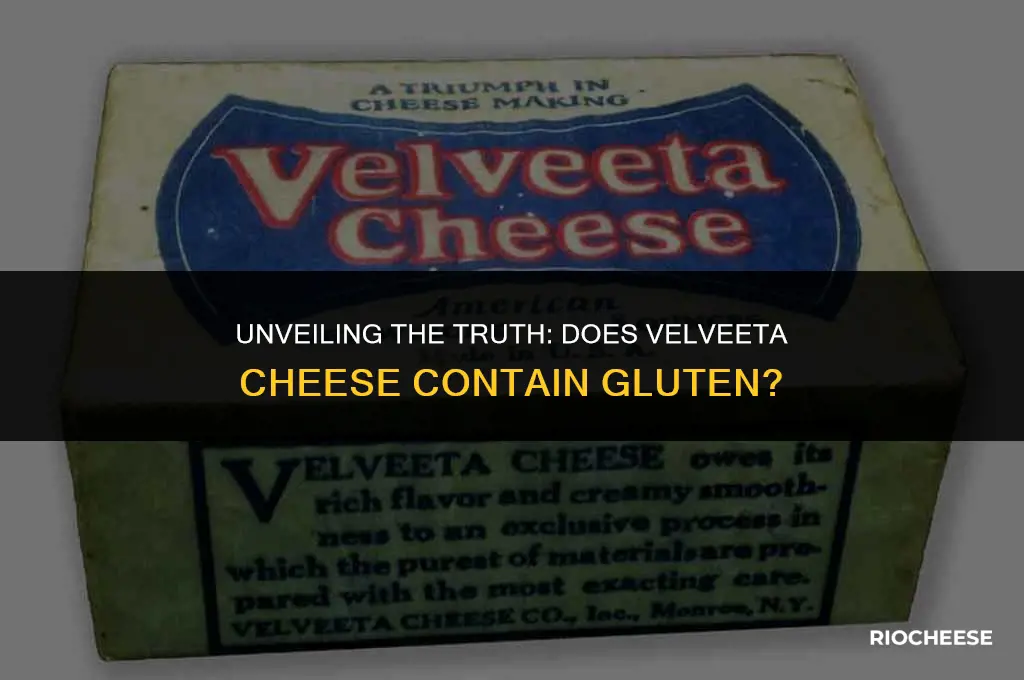 is there gluten in velveeta cheese