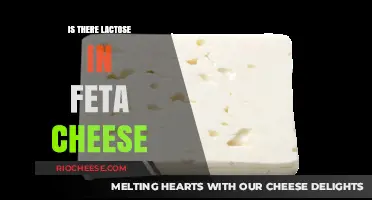 Exploring Dairy Sensitivities: Lactose Content in Feta Cheese